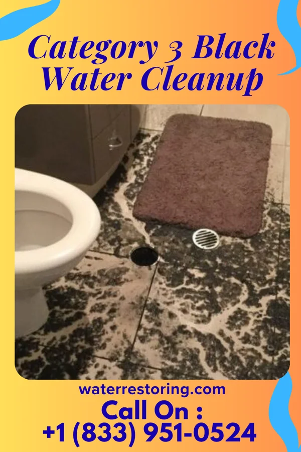 Category 3 Black Water Cleanup in Round Lake, NY