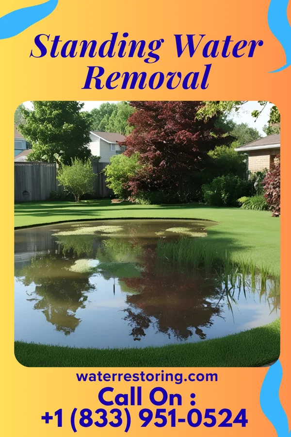 Standing Water Removal in Round Lake, NY